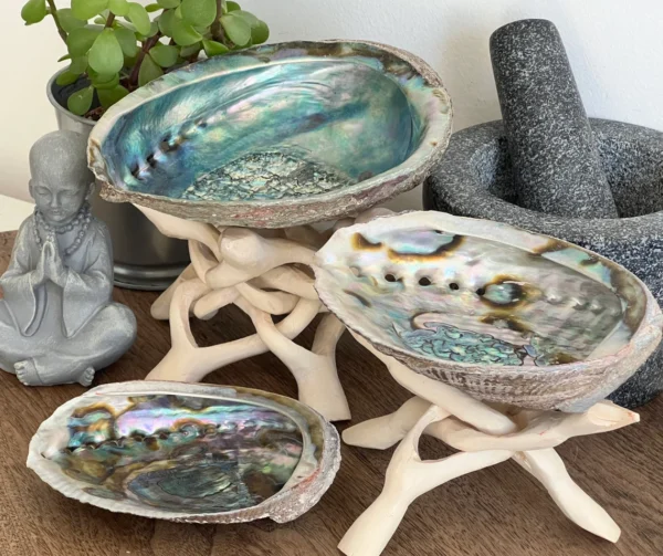 Abalone Shell Stands - Wellness Centre, Southend-On-Sea | Samadhi HQ